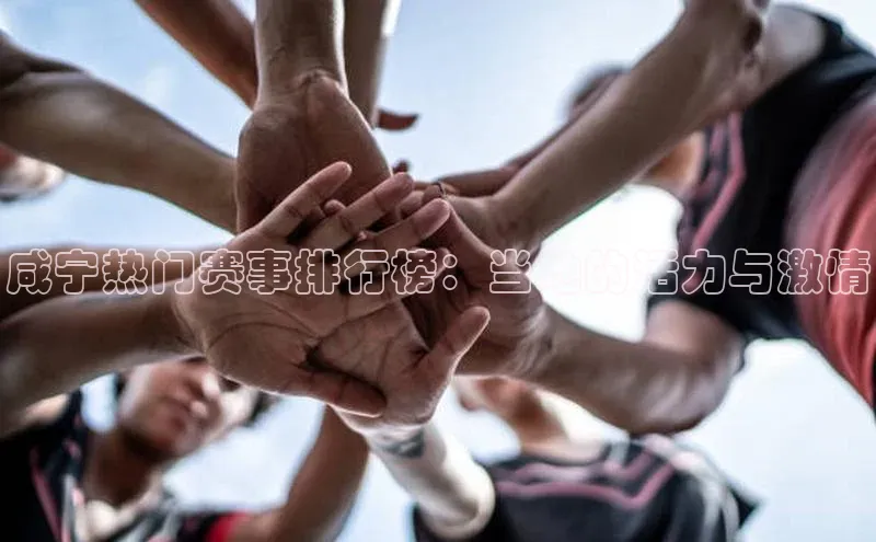 k1体育官网登录入口网址